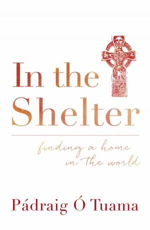 Cover of the book In the Shelter by Blake Mullins