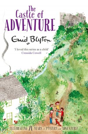 Cover of the book The Castle of Adventure by Steve Barlow, Steve Skidmore