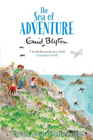 Cover of the book The Sea of Adventure by David Almond