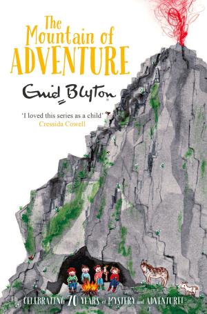 Book cover of The Mountain of Adventure