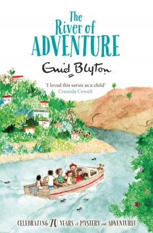 Cover of the book The River of Adventure by Andrew Broderick