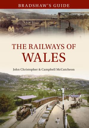Cover of the book Bradshaw's Guide The Railways of Wales by Janice Hayes