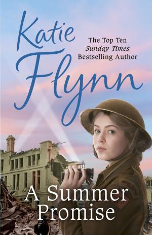 bigCover of the book A Summer Promise by 