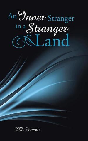Cover of the book An Inner Stranger in a Stranger Land by Amy Russell