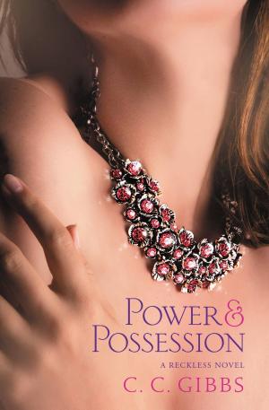 Cover of the book Power and Possession by James Patterson