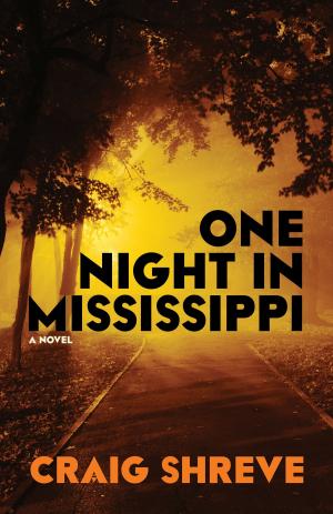 Cover of the book One Night in Mississippi by Jeffrey Round