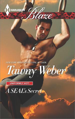 Cover of the book A SEAL's Secret by Piper Hannah
