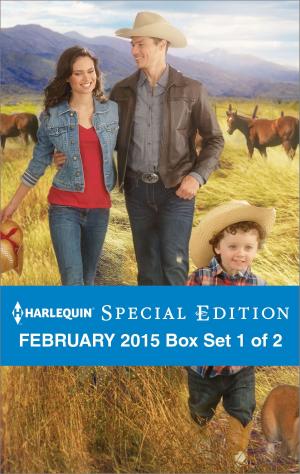 Cover of the book Harlequin Special Edition February 2015 - Box Set 1 of 2 by Lynna Banning, Mary Brendan, Harper St. George