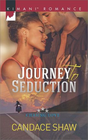 Cover of the book Journey to Seduction by Lynette Eason, Shirlee McCoy, Valerie Hansen