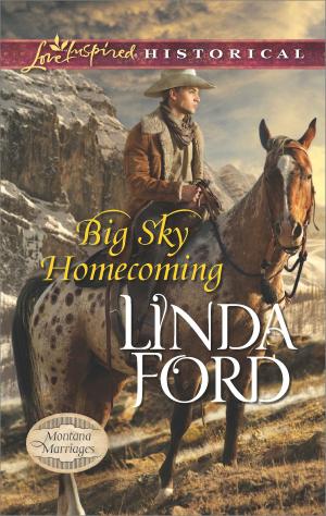 Book cover of Big Sky Homecoming