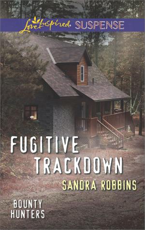 Cover of the book Fugitive Trackdown by Patricia Potter