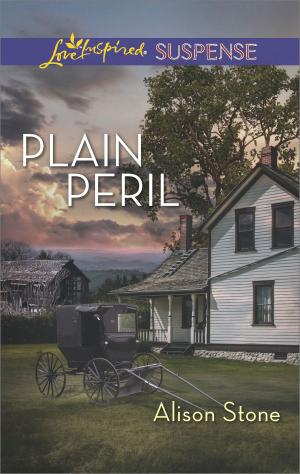 Cover of the book Plain Peril by Linda Ford
