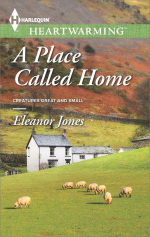 Cover of the book A Place Called Home by Raye Morgan, Lucy Gordon