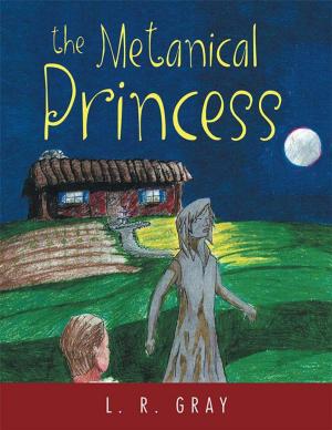 Cover of the book The Metanical Princess by Drew Sherer