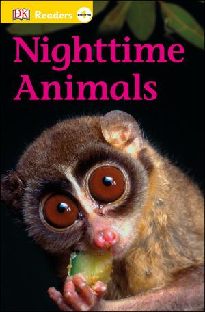 Book cover of DK Readers L0: Nighttime Animals