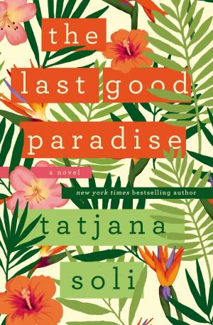 Cover of the book The Last Good Paradise by David Kennard