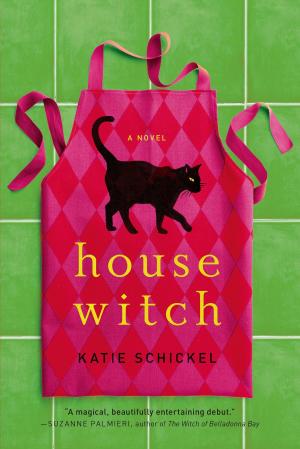 bigCover of the book Housewitch by 