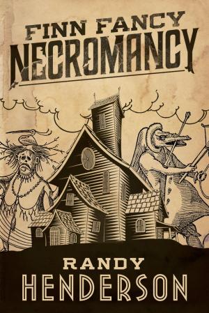 Book cover of Finn Fancy Necromancy