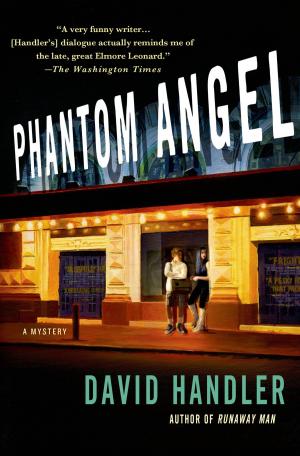 Cover of the book Phantom Angel by Thomas Lakeman