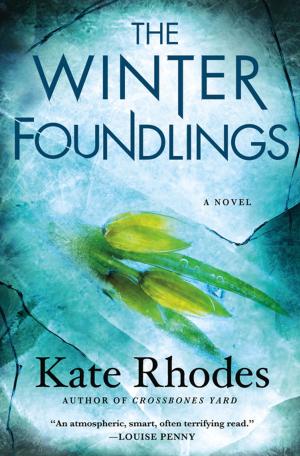Cover of the book The Winter Foundlings by Helen J. Christmas
