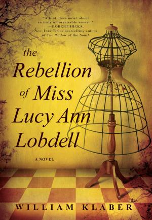 Cover of the book The Rebellion of Miss Lucy Ann Lobdell by Mark Stein