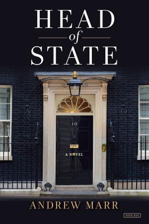 Cover of the book Head of State by Jeff Kinney