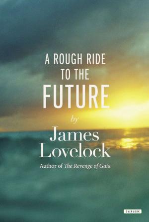 Cover of the book A Rough Ride to the Future by Jayme McGowan