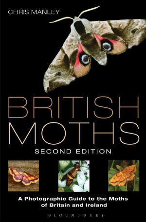 Cover of the book British Moths: Second Edition by Professor Alessandro G. Benati, Tanja Angelovska