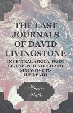 Cover of the book The Last Journals of David Livingstone, in Central Africa, from Eighteen Hundred and Sixty-Five to his Death by Two Magpies Publishing