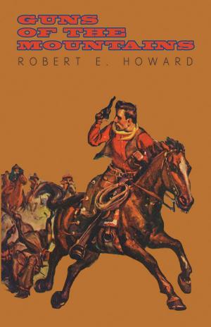 Book cover of Guns of the Mountains