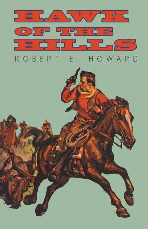 Cover of the book Hawk of the Hills by Alberto Santos-Dumont
