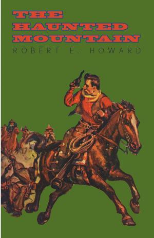 Book cover of The Haunted Mountain
