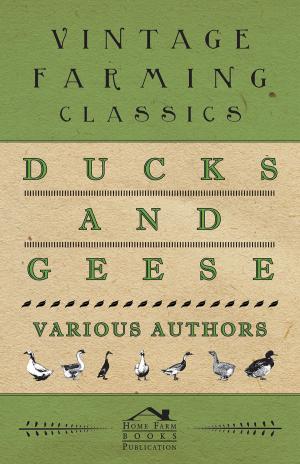 Cover of the book Ducks and Geese by Catharine Maria Sedgwick