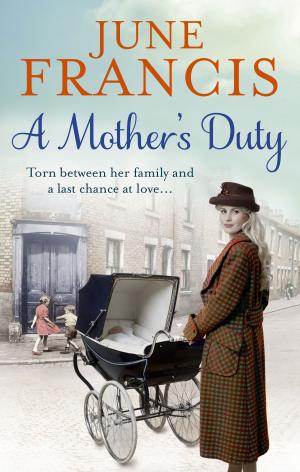 Book cover of A Mother's Duty