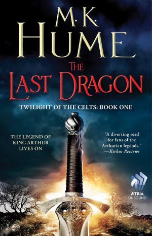 bigCover of the book Twilight of the Celts Book One: The Last Dragon by 