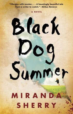 Cover of the book Black Dog Summer by Vicki G. Riordan, Brian Riordan