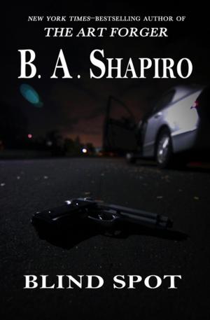 Cover of the book Blind Spot by B. A. Shapiro