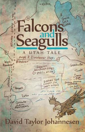 Book cover of Falcons and Seagulls