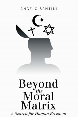 Book cover of Beyond the Moral Matrix