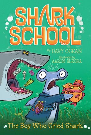 Cover of the book The Boy Who Cried Shark by Davy Ocean