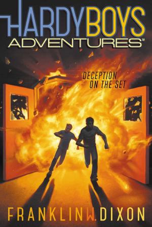 Cover of the book Deception on the Set by J. D. Rinehart