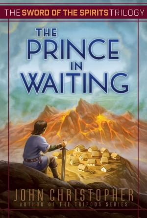 Cover of the book The Prince in Waiting by Stacia Deutsch, Rhody Cohon
