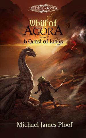 bigCover of the book A Quest of Kings by 