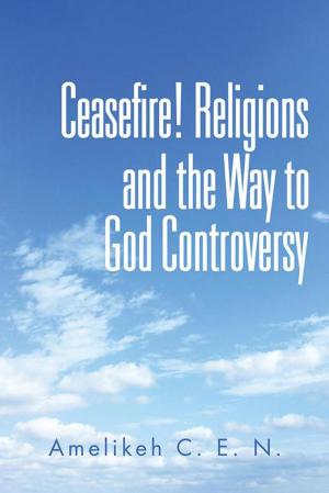bigCover of the book Ceasefire! Religions and the Way to God Controversy by 