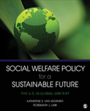 bigCover of the book Social Welfare Policy for a Sustainable Future by 