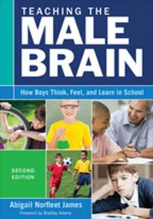 Cover of the book Teaching the Male Brain by Ian Burkitt