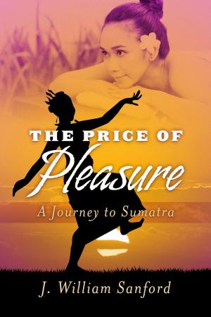 Cover of the book The Price of Pleasure by Victoria Melhado-Daley