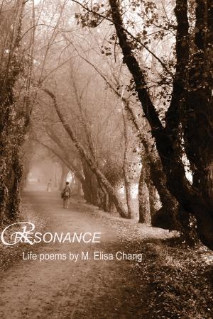 Cover of the book Resonance by Steve Moore, B.A., J.D.