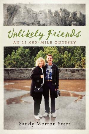 Cover of the book Unlikely Friends by Jayne Flaagan