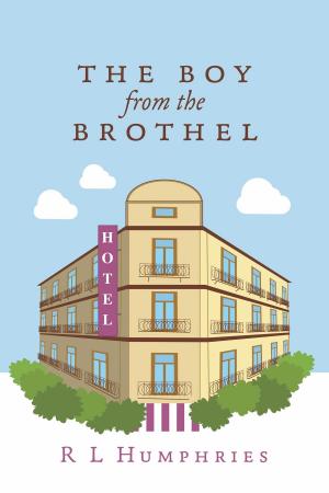 bigCover of the book The Boy from the Brothel by 
